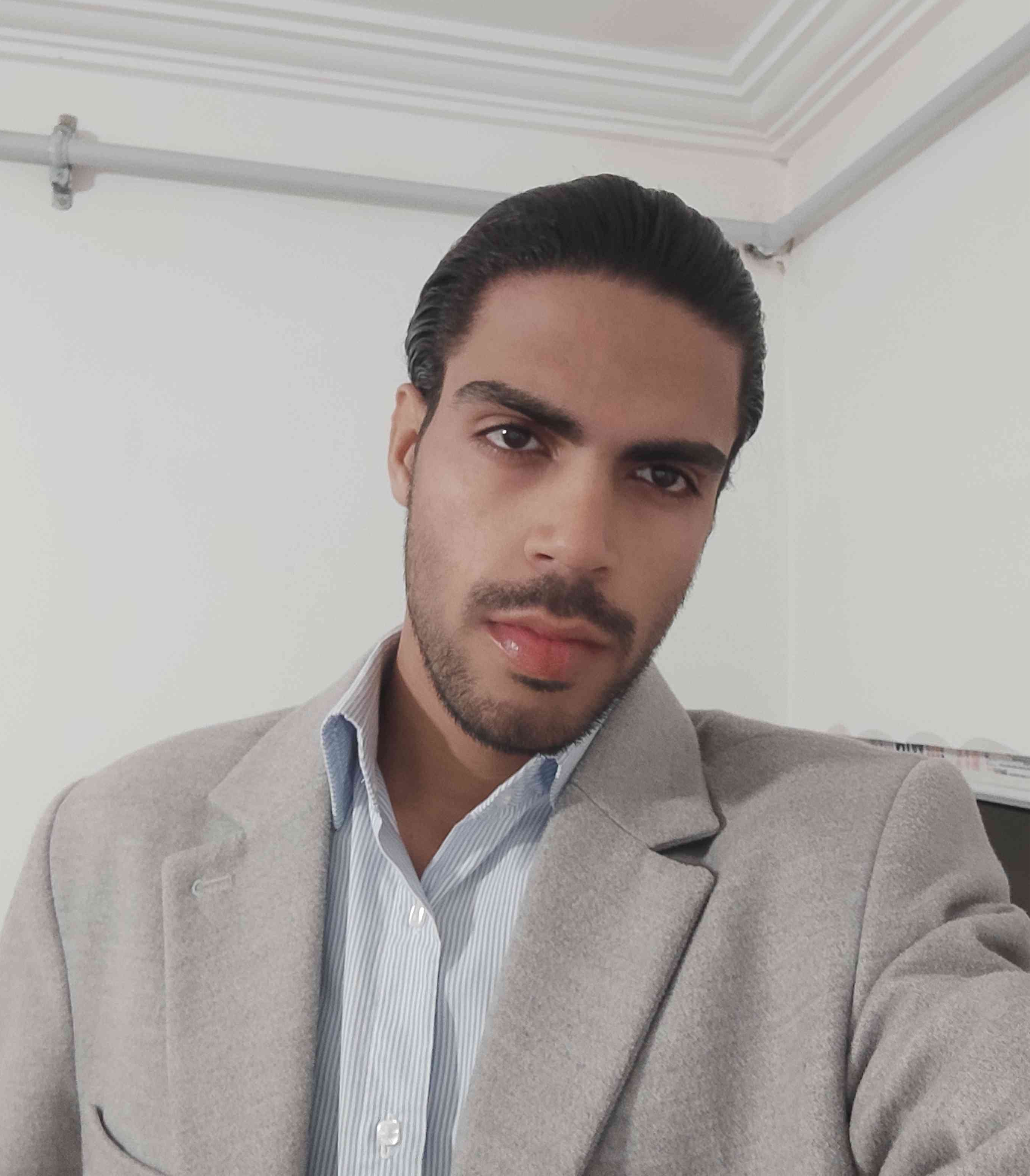 Ali Enayat